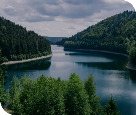 lake in the forest with cloudy skies